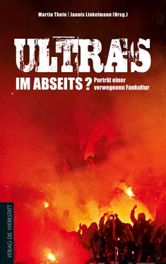 Jannis Linkelmann Ultras im Abseits? обложка книги