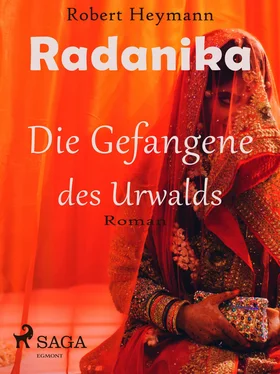Robert Heymann Radanika. Die Gefangene des Urwalds обложка книги