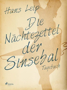 Hans Leip Die Nächtezettel der Sinsebal обложка книги
