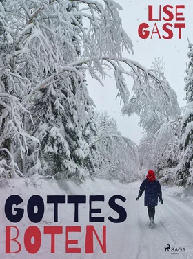 Lise Gast Gottes Boten обложка книги