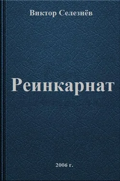 Виктор Селезнёв Реинкарнат обложка книги