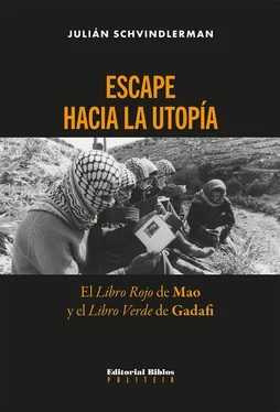 Julián Schvindlerman Escape hacia la utopía обложка книги