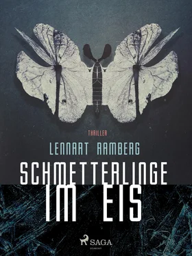 Lennart Ramberg Schmetterlinge im Eis обложка книги