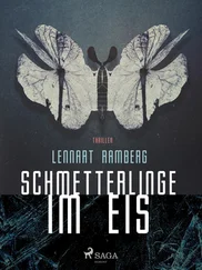 Lennart Ramberg - Schmetterlinge im Eis