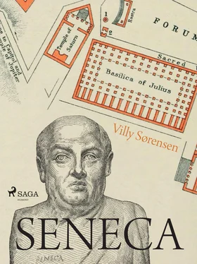 Villy Sørensen Seneca - Ein Humanist an Neros Hof обложка книги
