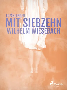 Wilhelm Wiesebach Mit Siebzehn обложка книги