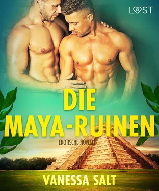 Vanessa Salt Die Maya-Ruinen: Erotische Novelle обложка книги