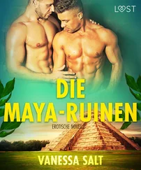 Vanessa Salt - Die Maya-Ruinen - Erotische Novelle