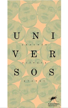Antonio Silvera Arenas Universos обложка книги