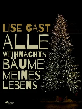 Lise Gast Alle Weihnachtsbäume meines Lebens обложка книги