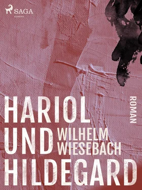 Wilhelm Wiesebach Hariol und Hildegard обложка книги
