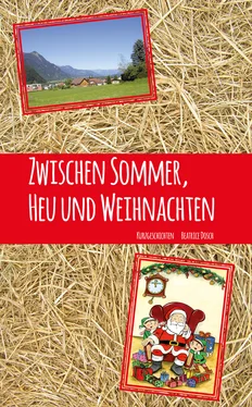 Beatrice Dosch Zwischen Sommer, Heu und Weihnachten обложка книги