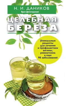 Николай Даников Целебная береза обложка книги