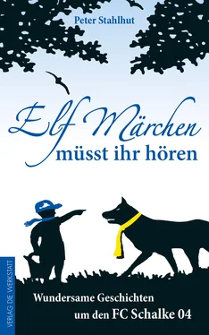 Peter Stahlhut Elf Märchen müsst ihr hören обложка книги