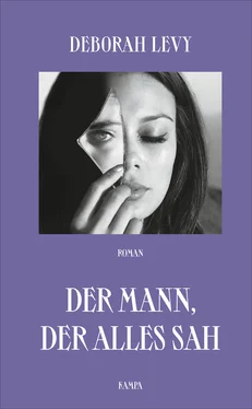 Deborah Levy Der Mann, der alles sah обложка книги