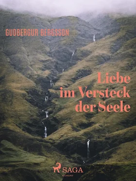 Gudbergur Bergsson Liebe im Versteck der Seele обложка книги