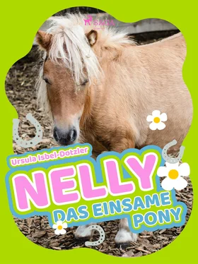 Ursula Isbel-Dotzler Nelly - Das einsame Pony обложка книги