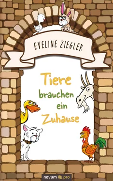 Eveline Ziegler Tiere brauchen ein Zuhause обложка книги