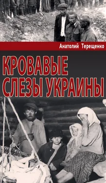 Анатолий Терещенко Кровавые слезы Украины обложка книги