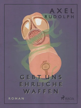 Axel Rudolph Gebt uns ehrliche Waffen обложка книги