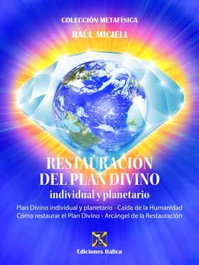 Raúl Micieli Restauración del Plan Divino individual y planetario обложка книги