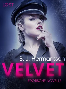 B. J. Hermansson Velvet: Erotische Novelle обложка книги