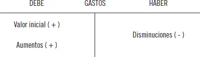 Lo expuesto puede resumirse en los siguientes cuadros Cuentas Situación - фото 27