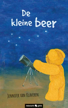 Jennifer van Klaveren De kleine beer обложка книги