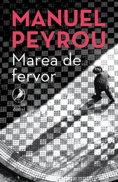 Manuel Peyrou Marea de fervor обложка книги