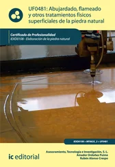 Tecnología e Investigación S.L. Asesoramiento - Abujardado, flameado y otros tratamientos físicos superficiales de la piedra natural. IEXD0108