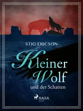 Stig Ericson Kleiner Wolf und der Schatten обложка книги