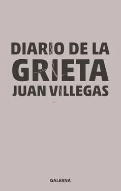 Juan Villegas Diario de la grieta обложка книги