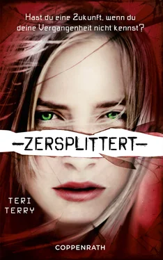 Teri Terry Zersplittert обложка книги