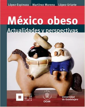 Antonio López Espinoza México obeso обложка книги