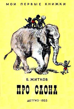 Борис Житков Про слона. Рассказы обложка книги