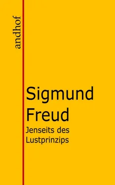 Sigmund Freud Jenseits des Lustprinzips обложка книги