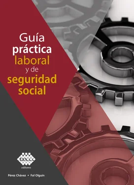 José Pérez Chávez Guía práctica laboral y de seguridad social 2020 обложка книги