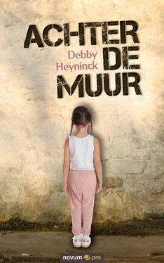 Debby Heyninck Achter de muur обложка книги