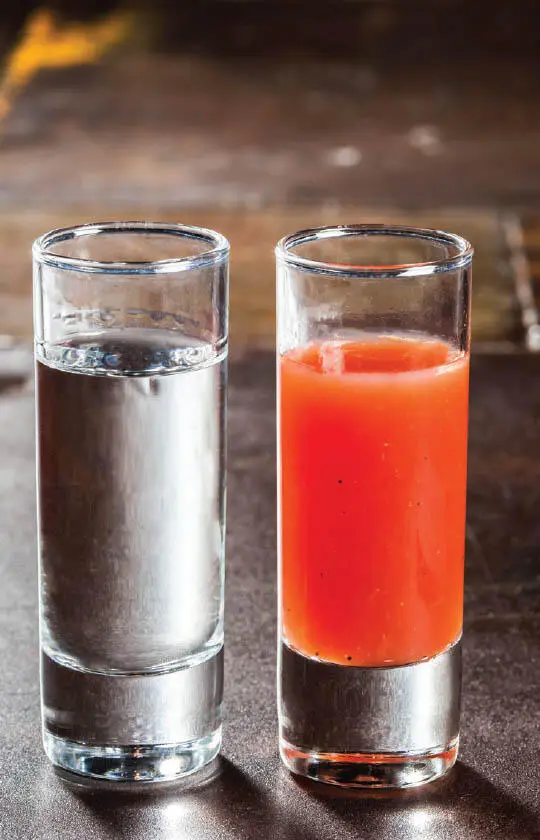 Parece que la Sangrita como el tequila tiene su origen en el estado mexicano - фото 29
