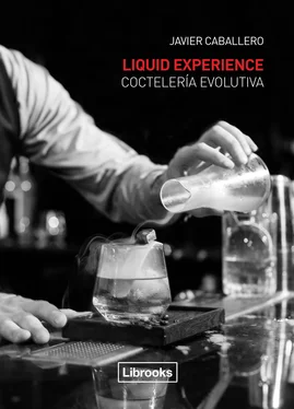 Javier Caballero Liquid Experience: Coctelería evolutiva обложка книги