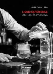 Javier Caballero - Liquid Experience - Coctelería evolutiva