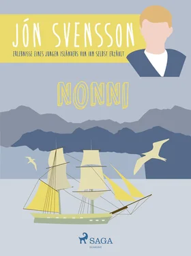 Jón Svensson Nonni - Erlebnisse eines jungen Isländers von ihm selbst erzählt обложка книги