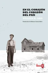 William Gass - En el corazón del corazón del país