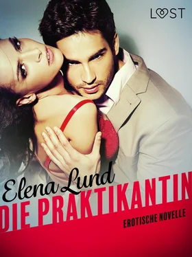 Elena Lund Die Praktikantin: Erotische Novelle обложка книги