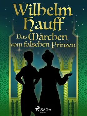 Wilhelm Hauff Das Märchen vom falschen Prinzen обложка книги