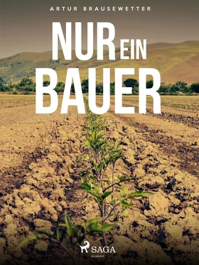 Artur Brausewetter Nur ein Bauer обложка книги