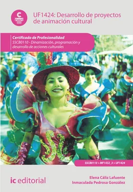 Inmaculada Pedrosa González Desarrollo de proyectos de animación cultural. SSCB0110 обложка книги