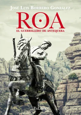 José Luis Borrero González Roa, el guerrillero de Antequera обложка книги