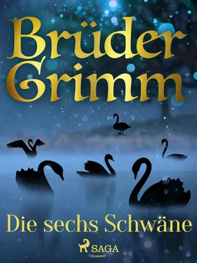 Brüder Grimm Die sechs Schwäne обложка книги