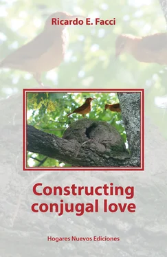 Ricardo E. Facci Constructing conyugal love обложка книги